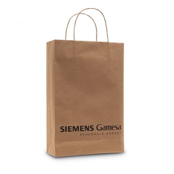 Paper bag with paper handtags